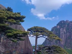 -黄山风景区
