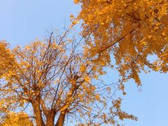 -两江幸福广场
