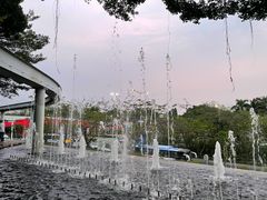 -Tims天好咖啡(华侨城步行街店)