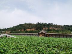 -渭南桃花源民俗文化园