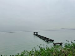 -贡湖湾湿地公园