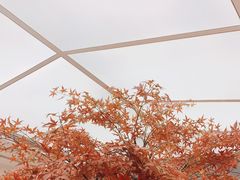 -艾薯夫妇Aysh(福田星河COCOPark店)