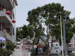 -洞背山庄(洞背院区式管理小区店)