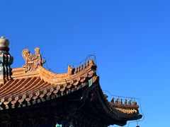-颐和园