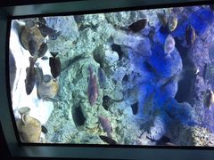 iphone_upload_pic-福州罗源湾海洋世界旅游区