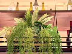 -西堤牛排(南京龙江店)