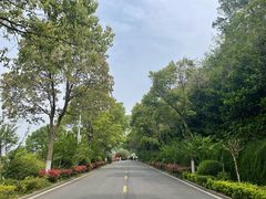 -南京金牛湖风景区