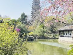 -红梅公园