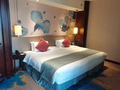 -常州环球恐龙城维景国际大酒店