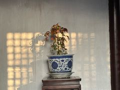 -艺圃
