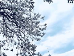 -红星桥(地铁站)