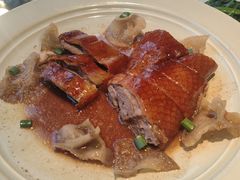 -新兴·金羊座·粤菜点心(乐峰店)