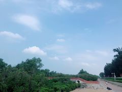 -宝安西湾红树林湿地公园