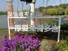 -上海鲜花港