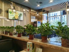 -烹然四季椰子鸡火锅(团结湖总店)