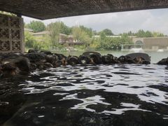 -春晖园度假酒店温泉