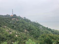 -景山公园