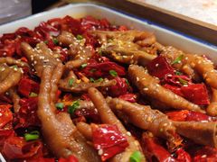 -九鼎轩脆毛肚火锅(三钢里店)
