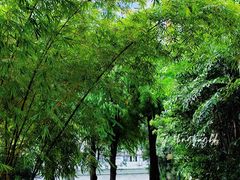 -晓港公园