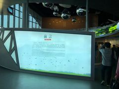 -漩门湾国家湿地公园