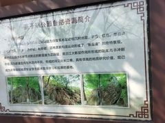 -幕燕滨江·燕子矶公园