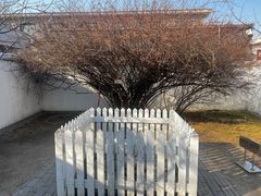-北京鲁迅博物馆(北京新文化运动纪念馆鲁博馆区)