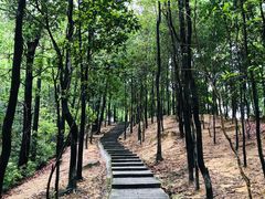 -火炉山森林公园