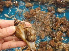 -新丁香海鲜酒店(银海商贸城店)