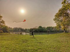 -艾溪湖湿地公园