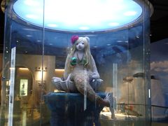 -成都泰迪熊博物馆