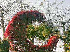 -东莞植物园
