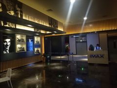 -博纳国际影城IMAX(中央大道店)