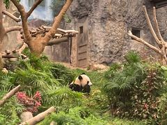-石排湾郊野公园