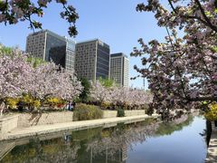 -海棠花溪(元大都城垣遗址公园)