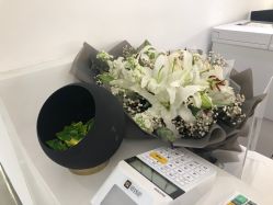 -处女座·MISS VIRGO·半永久纹眉野生眉