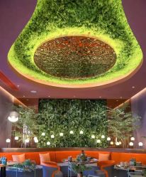 -花隐·美芙炫海菲秀皮肤管理中心