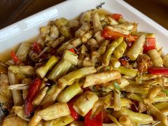 -将军关探险漂流