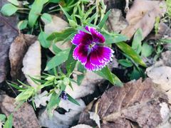 -长春公园(普阳街道)