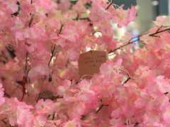 -無邪日式甜品(世博源店)