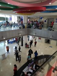 -苏州大学附属儿童医院(景德路院区)