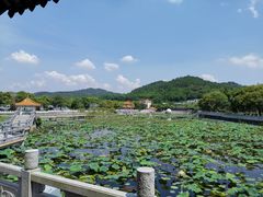 -红山村