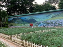 -龙凤山庄影视度假村
