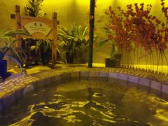 -兴芮温泉度假区