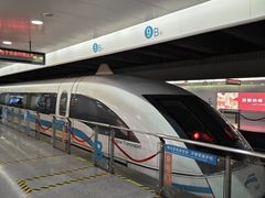 -龙阳路磁悬浮列车总站-停车场