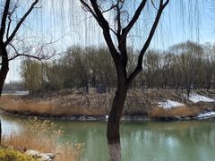 -大兴滨河森林公园