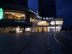 -棕榈MALL