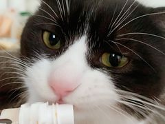 -萌兽医馆·犬猫专科·眼科中心·宠物医院(朝阳门分院)