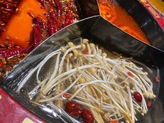 奔驰三味锅-蜀辣居鲜货老火锅(红牌楼店)