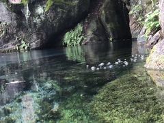 -南京珍珠泉风景区