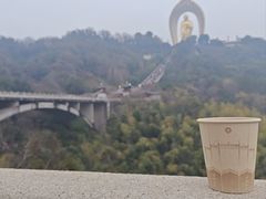 -庐山风景名胜区-东林大佛